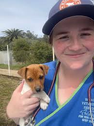 Community announcement! 🏥...