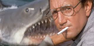 Telehealth tensions high at Creative Careers in Medicine