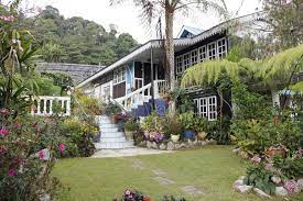 Taman sedia homestay is located in cameron highlands, pahang. Salam Sharing My Travel Experience No 6 Ivy Homestay Kg Taman Sedia Cameron Highland