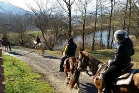 Our professionally trained staff will plan your event, for groups of 10 to 2,000, in extensive function space including a 17,376 square foot ballroom and an abundance of. The Top 10 Tuscany Horseback Riding W Prices