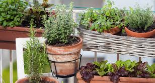 Auβer löffel und gabeln brauchen sie dafür auch ein altes holzbrett. Upcycling Ideen Fur Ihren Balkon Mit Superfood Pflanzen Und Mehr Terra Elements