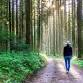 Forest Bathing: Find Yourself in Nature event image