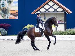 Maybe you would like to learn more about one of these? Ingrid Klimke Und Franziskus In Den Olympiakader Der Dressurreiter Berufen