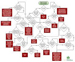 cannabis leaf damage chart bedowntowndaytona com