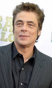 Benicio del Toro Celebrity Profile