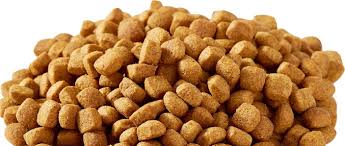 Tailored nutrition for each stage of a dog's life. Convenience Of Kibble Vs Healthy Fresh Dog Food Pets Love Fresh