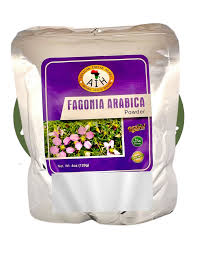 Image result for Fagonia