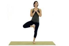 The Elusive Psoas Muscle And How To Stretch It Tree Pose Vrksasana Psoaspain Standing Yoga Poses Essential Yoga Poses Yoga Poses For Beginners