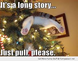 It S A Long Story Cat Christmas Tree Christmas Cats Christmas Humor
