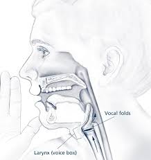How To Give A Painless Injection - Spear Education