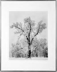 Antiques &amp; Auction News