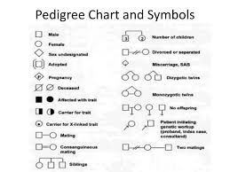 Ppt Pedigree Powerpoint Presentation Free Download Id