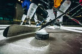 Team Sonnet Defeats Team Bauer To Advance To Championship Game At Pwhpa  Women'S Hockey Showcase
