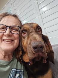 I just love my goats so much. Left to right: Bella, Bijou, Halo. 💗