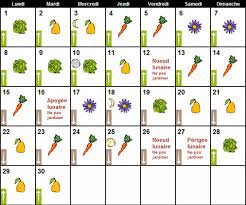 Vous avez aimé cet article ? J Ai Trop Demande A La Lune Graines De Mane