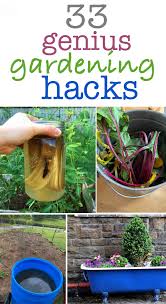 One of the fun things about gardening is talking with other gardeners about their tips and tricks to while sound plant culture is the basis of any good garden, knowing the secret hacks adds a little. 33 Genius Gardening Hacks Healthy Christian Home
