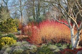 Un Livre Sublime Loue La Beaute Du Jardin Meme En Hiver Jardin D Hiver Jardins Jardin De Prairie