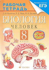 ответы к рабочей тетради по английскому языку 5 класс Literaturnoe Chtenie 2 Klass Buneev Buneeva Otvety K Rabochej Tetradi Algebra Acronis True Image Blog