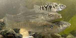 Kids' Day: FINtastic Fish