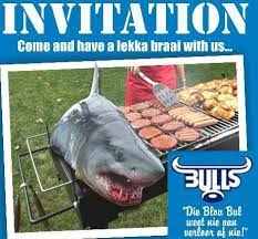 Find the newest bull shark meme. 19 Bulls Ideas Bull Rugby Rugby Logo