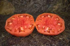 This is a form of direct composting, where materials break down and. Bear Claw Tomato Vertiloom