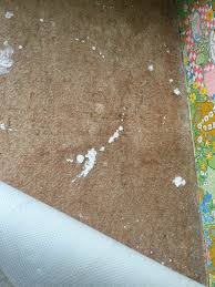 Image result for site:byggahus.se färgglad