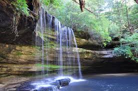 Pin By Teresa Sanders On Places I Have Visited Alabama Travel Waterfall Places
