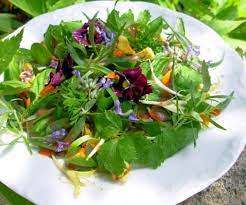 Herbs On Saturday Elizabethan English Herb And Flower Salad With Honey Dressing Lavender And Lovage Recipe Honey Dressing Recipe Edible Flowers Cooking