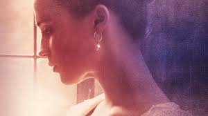 Jump to navigation jump to search. La Ragazza Dei Tulipani Film 2017 Mymovies It