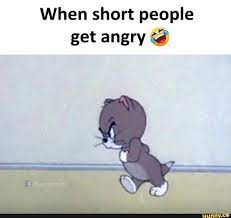 When Short People Get Angry Crazy Funny Memes Fun Quotes Funny Cute Funny Quotes