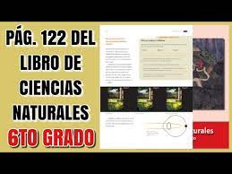 Pedir a cada alumno que vuelva a hacer el dibujo del sistema digestivo y que en parejas, comparen las diferencias con sus. Pag 122 Del Libro De Ciencias Naturales Sexto Grado Youtube