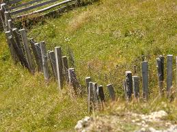 Pagar kuburan dan tralis minimalis bengkel las multi karya facebook. Pagar Kayu Padang Rumput Pagar Kayu Alam Tanaman Kuburan Batu Rumput Batu Nisan Pxfuel