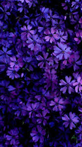 Just click on the image to save / download for free. Lila Blumen Schoner Hintergrund Blumen In 2021 Purple Flowers Wallpaper Purple Wallpaper Flower Wallpaper