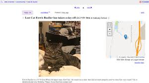 Find your lost pet, dog or cat in 3 easy steps… step one: S1e6 Knowledge Is Power Craigslist Curio