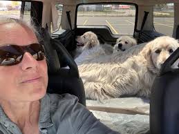 Netzero Ranch (@netzeroranch) • Instagram photos and videos