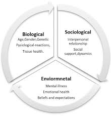 Bio Psycho Social Model By George L Engel In 1977 Source Download Scientific Diagram