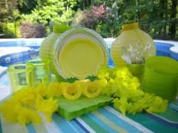 Adult Pool Party Ideas For Themes Games And Decorations