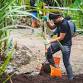 Mālama ʻĀina Volunteer Day