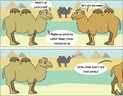 She smiled to hide the sadness she felt at fitz's hesitance. Pawsforwildlife Co Uk Captivebred The Straw That Broke The Camels Back
