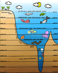 Water World Layers Of The Ocean Layers Of The Ocean Ocean Science Ocean Projects