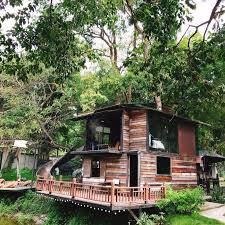 a jewel must visit review of no 39 cafe chiang mai thailand