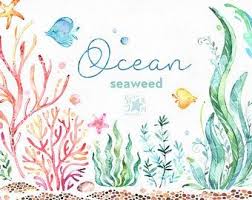 Mermaids 2 Watercolor Clipart Sea Girls Magic Fairytale Etsy In 2020 Watercolor Clipart Water Plants Clip Art