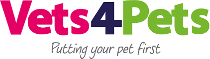 Veterinarians are often a jack of all trades type of doctor. Vets4pets Putting Your Pet First Experts In Vet Care