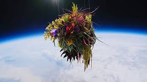 It was labeled zhima credit (or sesame credit). Why Facebook Can T Fix Itself The New Yorker