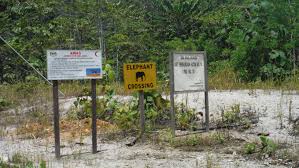Peti surat 94, keningau, 89007, malaysia. My Motorcycle Diaries In Borneo Sabah Part 1 Ellenopreis