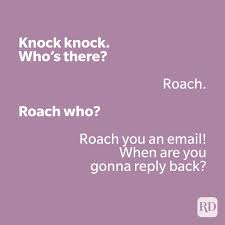 There are many individuals that love to share amazing corny jokes. 50 Best Knock Knock Jokes For Kids Reader S Digest
