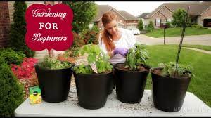 Recently i've used one of the best services like. How To Plant An Easy Beginner Garden Youtube