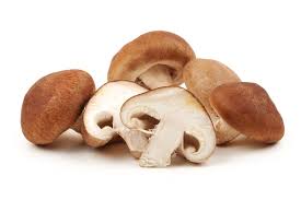 Image result for Lentinus edodes