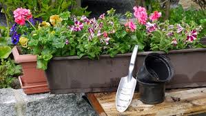 Select from premium bunten sommerblumen of the highest quality. Balkon Bepflanzen Sommerblumen Fur Sonne Und Schatten Ndr De Ratgeber Garten Zierpflanzen