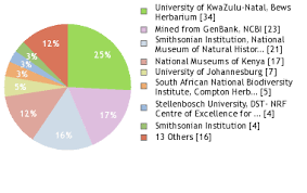 Image result for Plectranthus swynnertonii